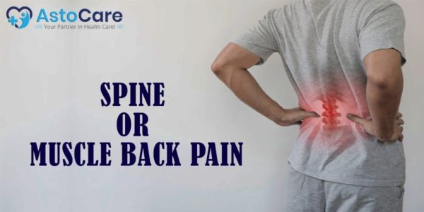 Spine Or Muscle Back Pain